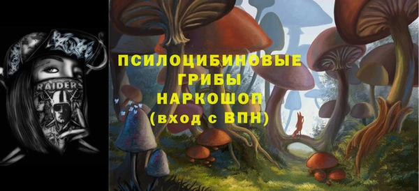 не бодяженный Алексин