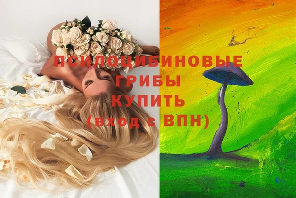 не бодяженный Алексин